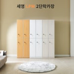 세영가구 LPM 2단 이단락카장 전자키 측판랜덤