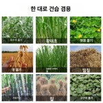 목재 나무 파쇄기 나뭇가지 목재파쇄기 정원 관리 톱밥