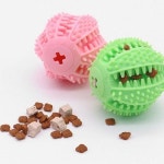 놀고씹고 댕댕이 필수 실리콘 놀이 노즈워크 간식볼 캔디타입