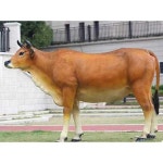 소 조형물 한우 조각상 모형 축제 공원 꾸미기 장식