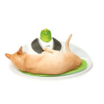 캣잇 하겐 캣잇 센시스 2 0 웰빙센터 고양이 셀프 그루밍 장난감 1개 43153W