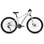 MARIN MARIN 쥬니퍼 트레일 MTB자전거