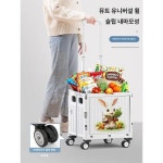장보기 리어카 집에서 접이식 수레로 택배손수레 끌기 노점상 신기 노인휴대카트