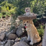 정원 골든 리트리버 장식 안뜰 야외 발코니 동물 귀여운 강아지 모델 모형 1 라이트