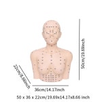 훈련 마네킹 연습 얼굴 머리 어깨 경혈 디스플레이 소품 마사지 도구 1 Normal