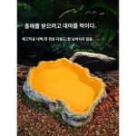 애완용 대야 물대야 모방 바위 목욕탕 도마뱀 거북이 뿔개구리 수궁 애완 뱀 파충류 식수 접시