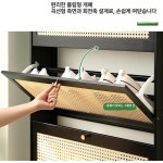 얇은신발장 수납 도어 현관 북유럽 깊이17cm 원색-2문 망사