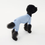 누핀 러브 파스텔 쫀득 올인원