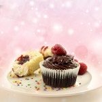 노프로 컵케이크 인젝터 장식 아이싱 세트 9피스 스테인리스 스틸 멀티컬러 Icing Set