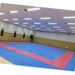 올핀 오성 - 장 태권도매트 연습용 1000 L 1000 W 24 T OSG-2001-1