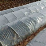 농업용 하우스 비닐 2mX10m 튼튼한 재단 텃밭 채소 2m X 10m