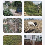 농장 과수원 철망 고라니 가축 능형망 1 2m 8구멍 보호 양계장 두께2 0 1 각종 규격을 하다