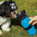 휴대용 애견 물통 강아지 산책 접이식 급수기 간편한