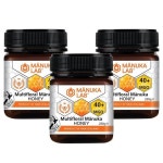 Manuka Lab Multifloral Manuka Honey 40 MGO 마누카 랩 멀티플로럴 허니 꿀 40 MGO 500g 3개