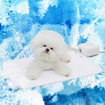 초코펫하우스 듀라론 쿨러 아이스 쿨매트 일반