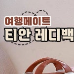 티안 레디백 캐리어 휴대용