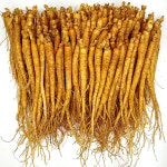 금산수삼센터 금산인삼 수삼 4 6년근 삼계탕인삼 600g 80 100뿌리 2팩 구매시 대추증정