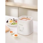 계란삶는 기계 온천계란 전기찜기 멀티 밥솥 모델 완숙 소형 찜질방 55개 삶은달걀 간식