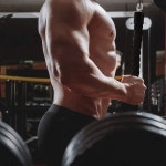 케이블 머신 짐 풀리 운동을 위한 하이바우 풀다운 로프 싱글 그립 트라이셉 이두근 운동 부착물 1 pack