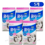신신제약 신신제약 신신제약 쿨링시트 6매입 5개 아기 약국 열패치 붙이는 해열파스