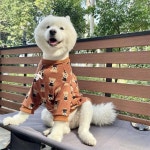 애완견 고양이 스웨터 중대형 견 스웨터 가을 겨울 따뜻한 사모예드 겨울옷 골든 퍼 코기
