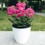 그린러브 원형 저면관수 자동급수 화분 2p세트