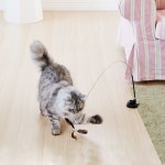 우다다맨숀 고양이 장난감 셀프 사냥놀이 회오리 깃털 리필