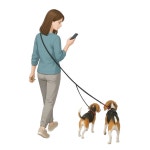 꼬이지않는 트윈 듀얼 두마리 리드줄 1개 one size