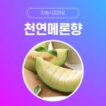 한솔식품원료 천연향료 천연멜론향 10kg 1개