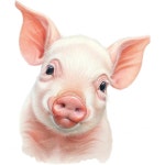 재미있는 작은 돼지 동물 장식 벽 스티커 변기 자동차 4 1개 A 15 75 inch CV179