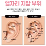 귀 지압 패치 스티커 이혈테라피 이혈침 혈자리 스틱 60P x 10장 600개입