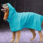 귀여운 반려동물 올인원 바람막이 우비 펫 비옷