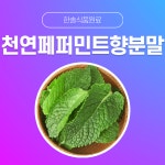 한솔식품원료 천연향료 천연페퍼민트향분말 10kg 천연복숭아향분말 10kg 1개