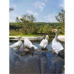 조형물 인테리어 오리 조각상 인형 정원 마당 1109 1 화원백조