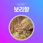 한솔식품원료 합성향료 보리향 1kg 다크초콜렛향 1kg 1개