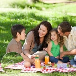 야외 장식 정원 가꾸기 캐노피 크리스마스 장식을 위한 17팩 헤비 듀티 메탈 텐트 스테이크 17 pack