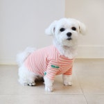 강아지 봄 가을 스트라이프 기본 티셔츠 코랄 LUCKY STRIPE CORAL 1개
