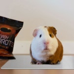 아이스애견쿨매트 애완동물 알루미늄 패드 L