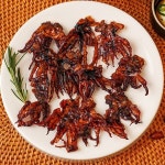자연맛남 서영이네 오징어다리 250g 50개내외 미니망족
