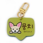 반려동물 고리형 인식표 강아지 외출용 이름표 기본체 연두 M 1개