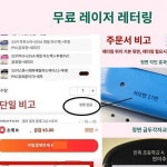 치메이표 37키 32키 하모니카 그린 학생 교실 악기 초보 치메이 취관 선물