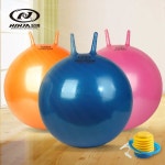 점프공 점프볼 바운스볼 요가공 피트니스공 PVC 55 키 160