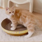 고양이 원형 방석 스크래쳐 S 1P 발톱관리 휴식 놀이