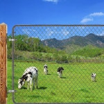 B-Est 새로운 2팩 벽 마운트 게이트 힌지 1-3 8 농장 304 스테인레스 스틸 튜브 울타리