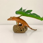 크레스티드게코 도마뱀 은신처 장식 꾸미기 반모리 돌멩오브제 시리즈 몬스테라 1개 몬스테라 S