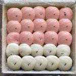 기정떡 잔기지떡 술떡 답례떡 흰색반 백년초반 50개 30g