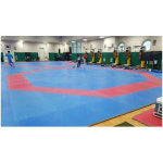 오성 PK 오성 장 태권도매트 800 L 800 W 25 T 국제경기용 OSG-2001-8