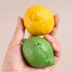 실리콘 양초 금형 과일 향기로운 비누 석고 수지 공예 홈 장식 미술 선물 만들기 1 002