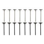 GM 2 0L 2 2L 2 4L ECOTEC DOHC 12622329 12615936을 위한 실험실 흡기-아웃 엔진 밸브 교체 16PCS