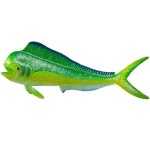 Safari Ltd 사파리엘티디 Mahi-Mahi 피규어 - 사실적인 16 6 5 물고기 모델 이상 교
